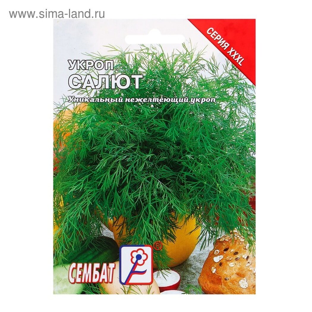 Семена укропа  Салют  от сембат  10г  для открытого грунта  позднеспелые  ароматные