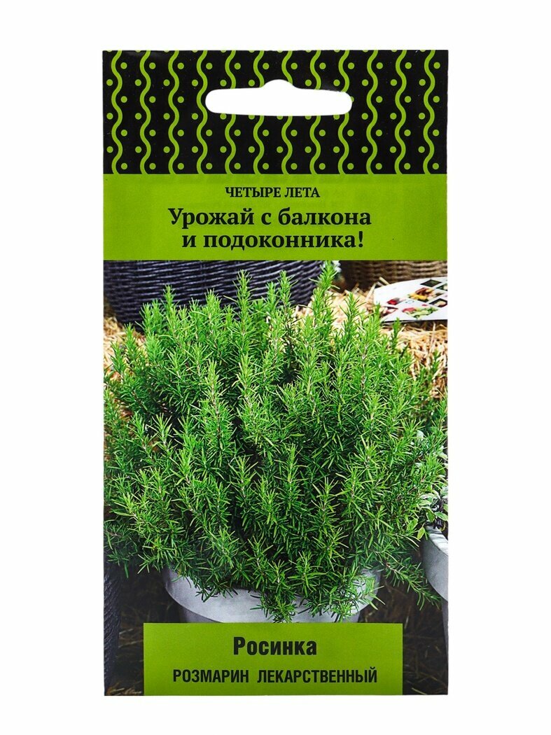 Семена Розмарина поиск 