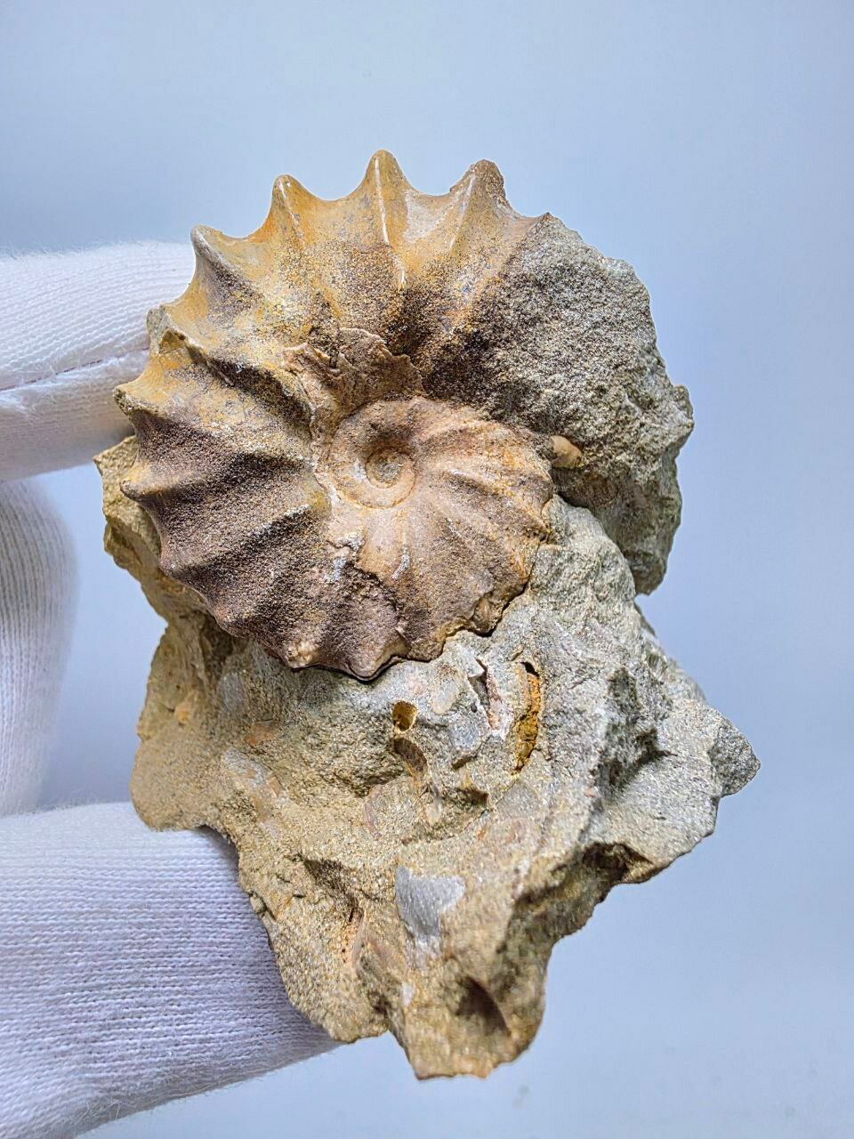 Аммонит 57 мм, 106 г.