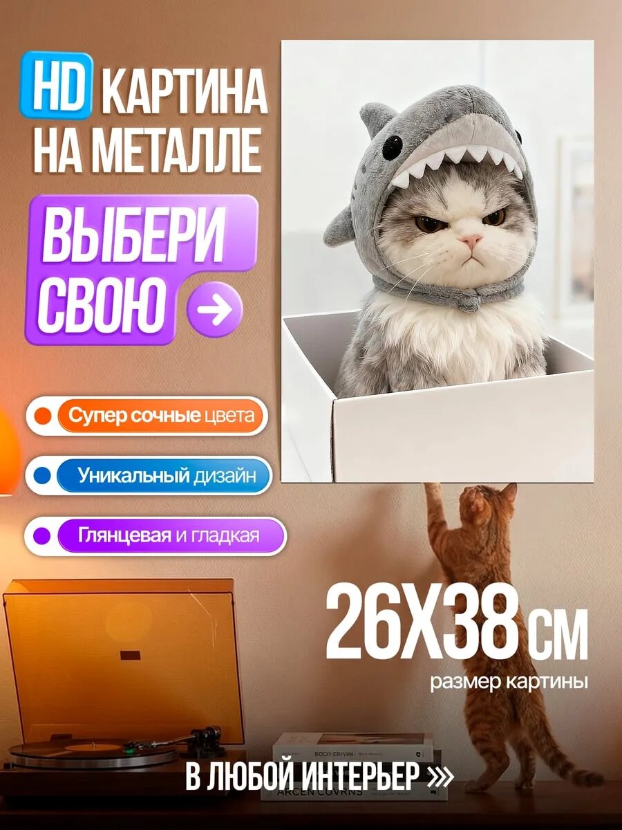 Картина на HD металле Кот в шапке акулы