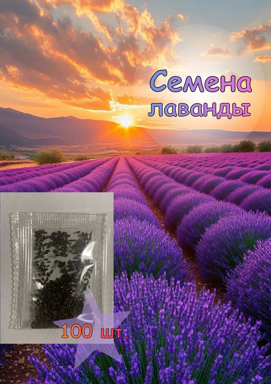 Семена Лаванды 100 шт.