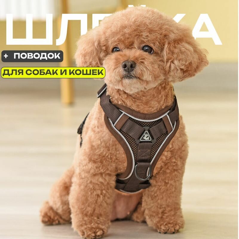 Шлейка-Праздничные подарки-Праздничные подарки