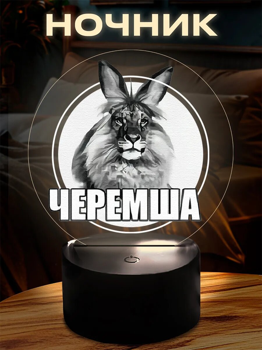 Ночник акриловый настольный 16 вариантов свечения, с принтом с приколом, Черемша подарочный светильник