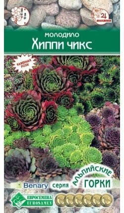 Молодило хиппи чикс / 5 драже х 1 упаковка /Серия Альпийские горки
