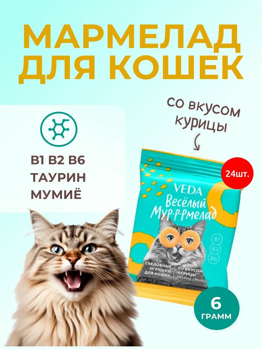 Лакомство для кошек VEDA "Весёлый мур-р-рмелад" со вкусом курицы 144 г (24 упаковки по 6 грамм)