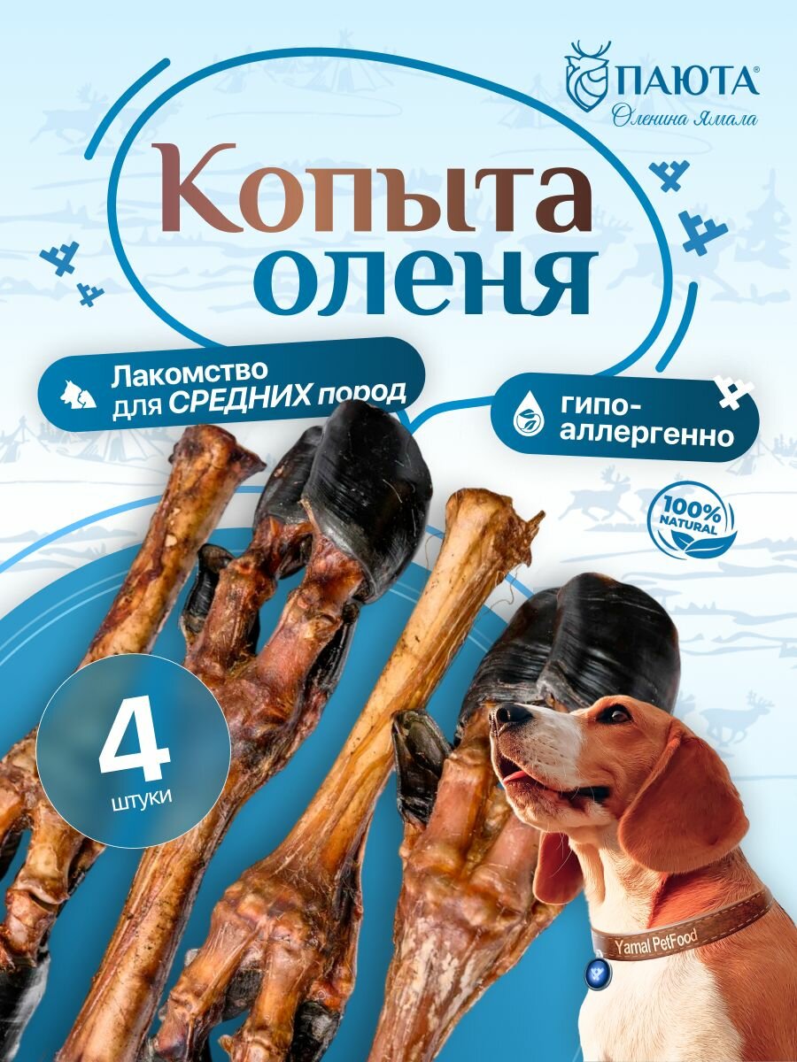 Нога оленя для средних пород 4 штуки лакомства для собак, полезные вкусняшки, Паюта