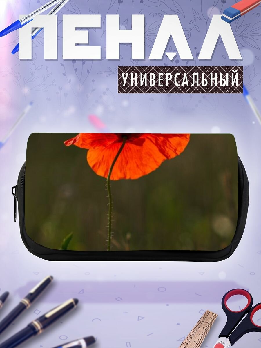 Пенал косметичка Eschscholzia цветок