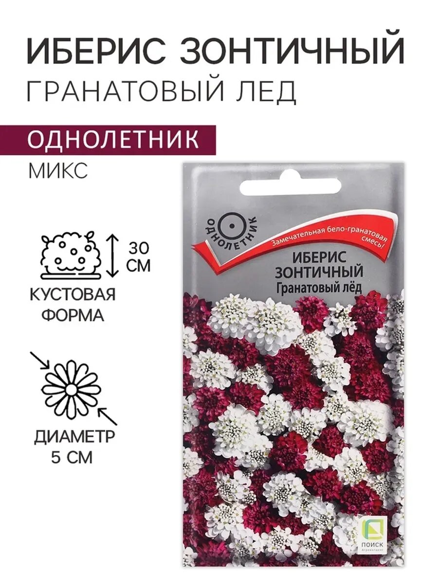 8 упак Семена цветов Иберис зонтичный 