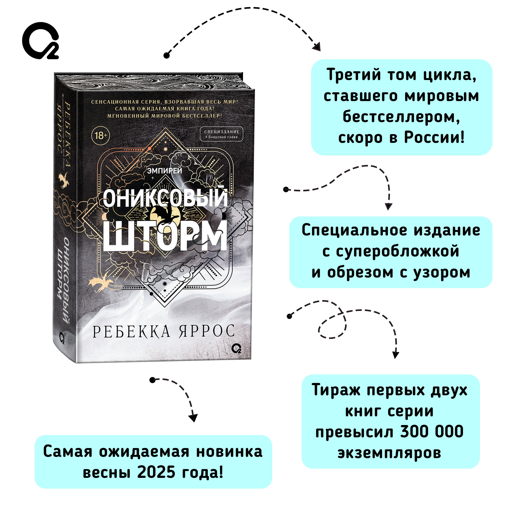 Ониксовый шторм (спец.издание, обрез с узором) - фото №5