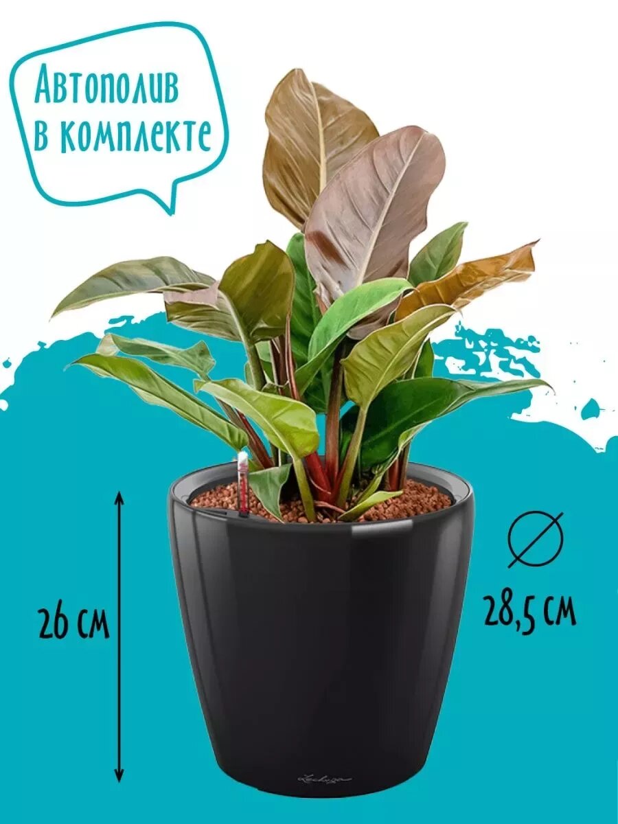 Горшок кашпо для цветов настольное с автополивом