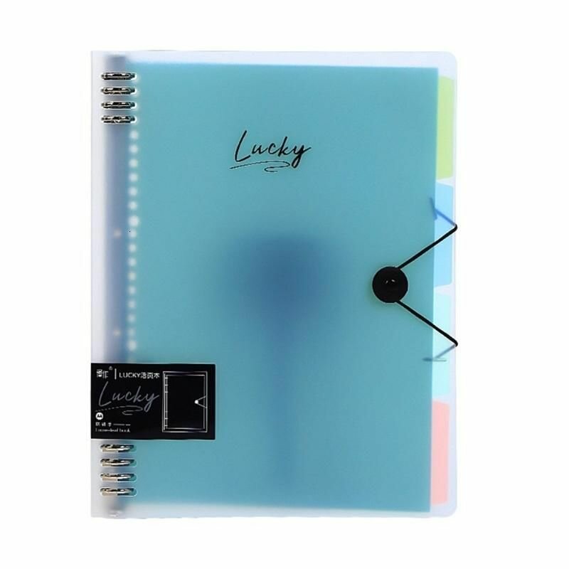 Папка-регистратор на 8 колец (220 листов) Ясно