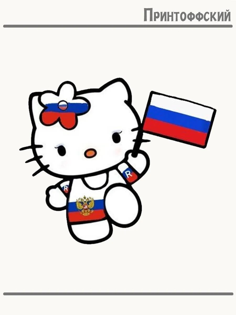 Термонаклейка для одежды и аксессуаров DTF-печать Кошка Патриотка