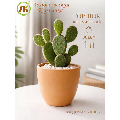 Цветочный горшок неглазурованный "Конус терракота" d14см, h12см, 1л Ломоносовская керамика