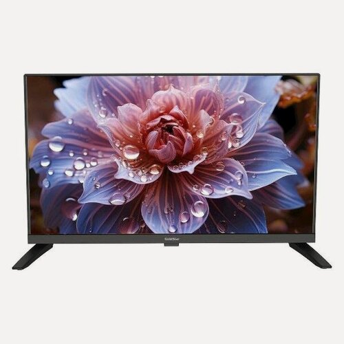 Изображение товара Телевизор GoldStar LT-24R1000