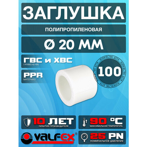 фото Заглушка полипропиленовая 20 (100 шт) valfex