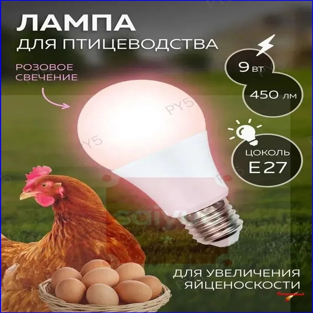 Качественный светодиод с диммером, 9 Вт, IP65, PLO65WH, LEDA609W/SCEP/E27/FR/DIM, эксклюзив