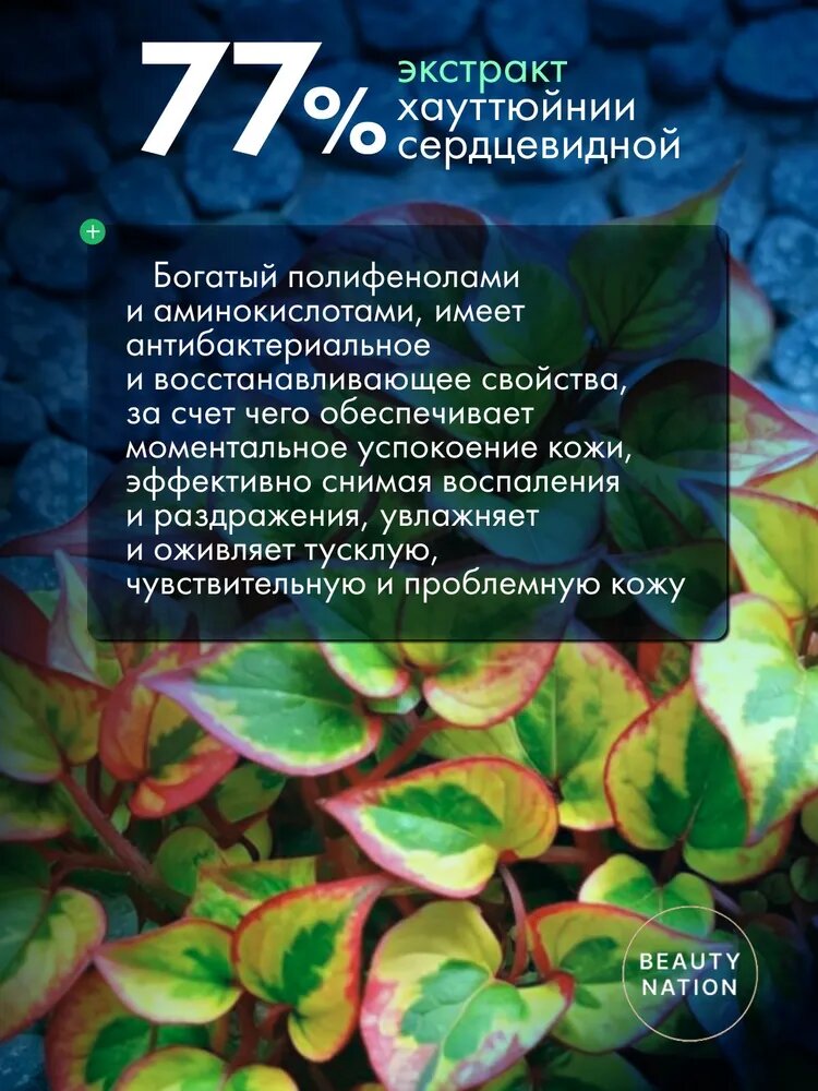 Тонер с успокаивающим действием Anua Heartleaf 77% Soothing Toner, 250 мл — фото 1