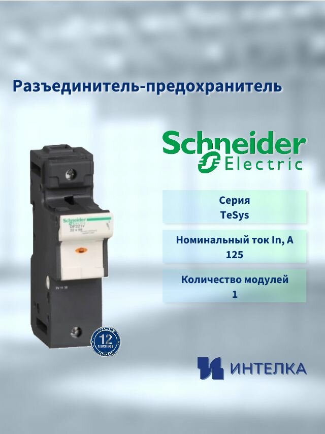 Разъединитель-предохранитель Schneider electric 125а, DF221V