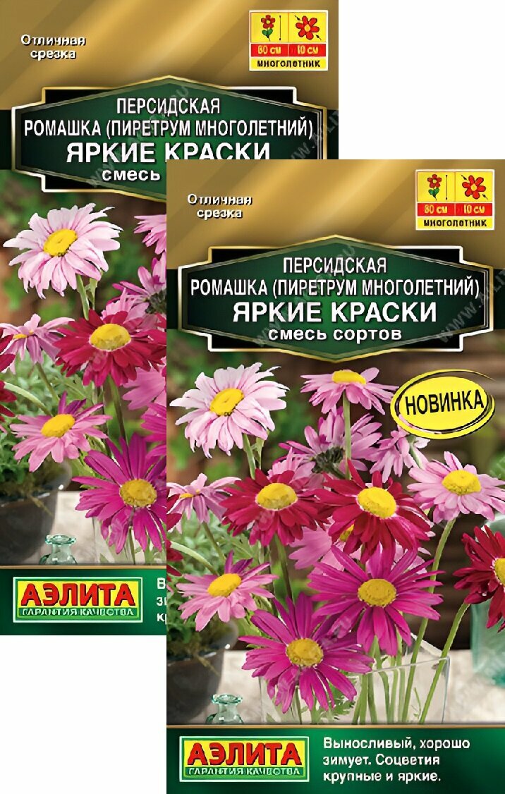 Семена Персидская ромашка Яркие краски смесь сортов (01 г) 2 пакета