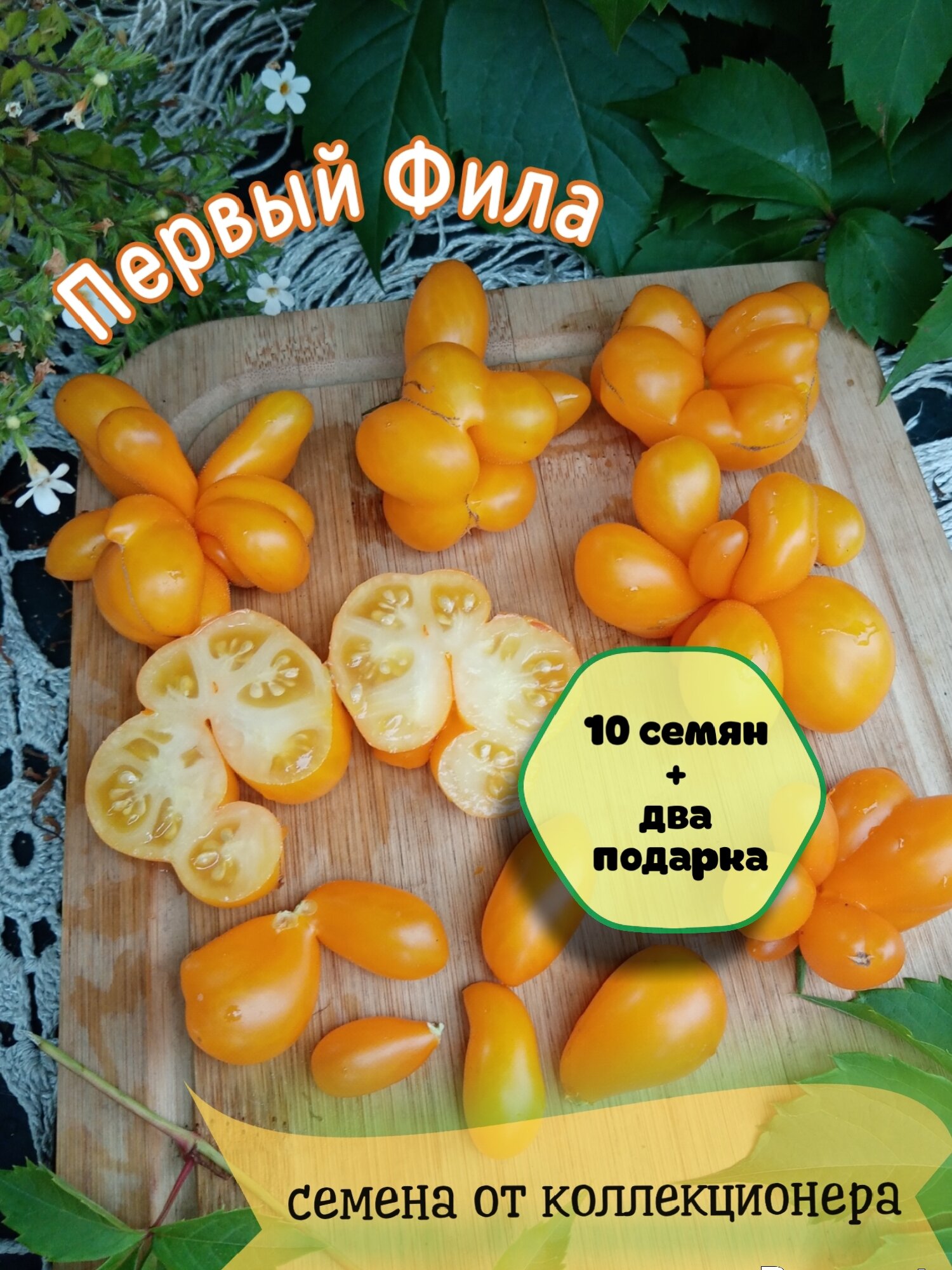 Томат Первый Фила, помидор из отдельных долек, мировая селекция, коллекционный сорт