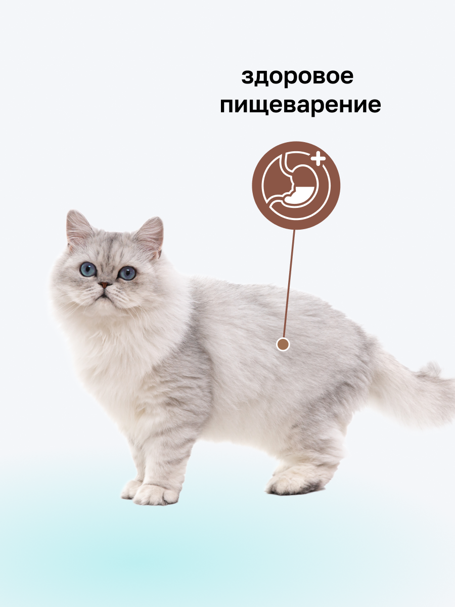 Organix Preventive Line Gastrointestinal сухой корм для кошек "Поддержание здоровья пищеварительной системы", 2 кг — фото 1