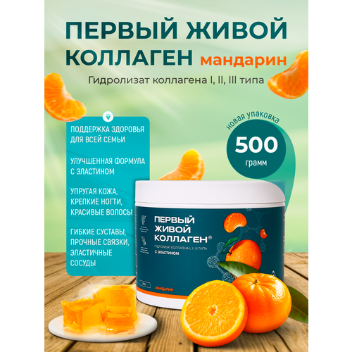Первый Живой Коллаген со вкусом мандарин, с эластином, 500 гр, курс на 1,5 месяца