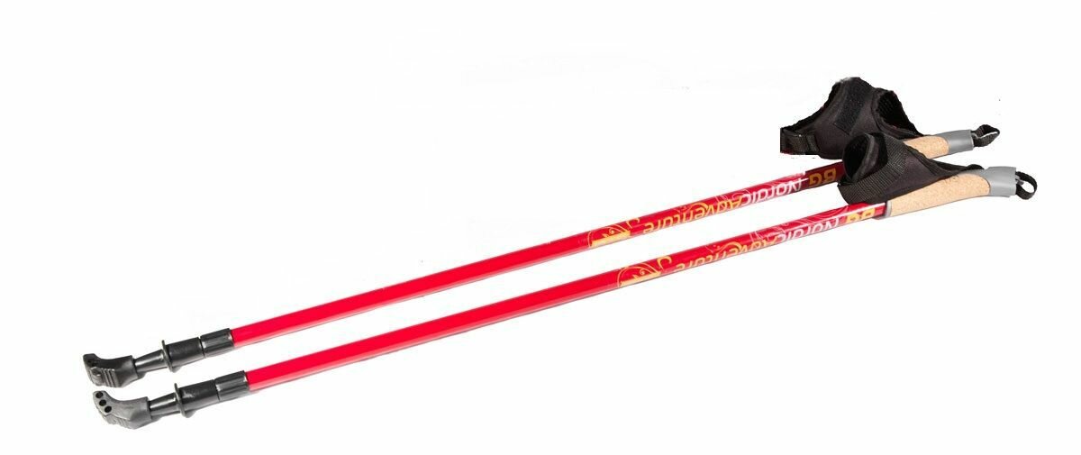 Палки для скандинавской ходьбы, телескопические BG Nordic Adventure