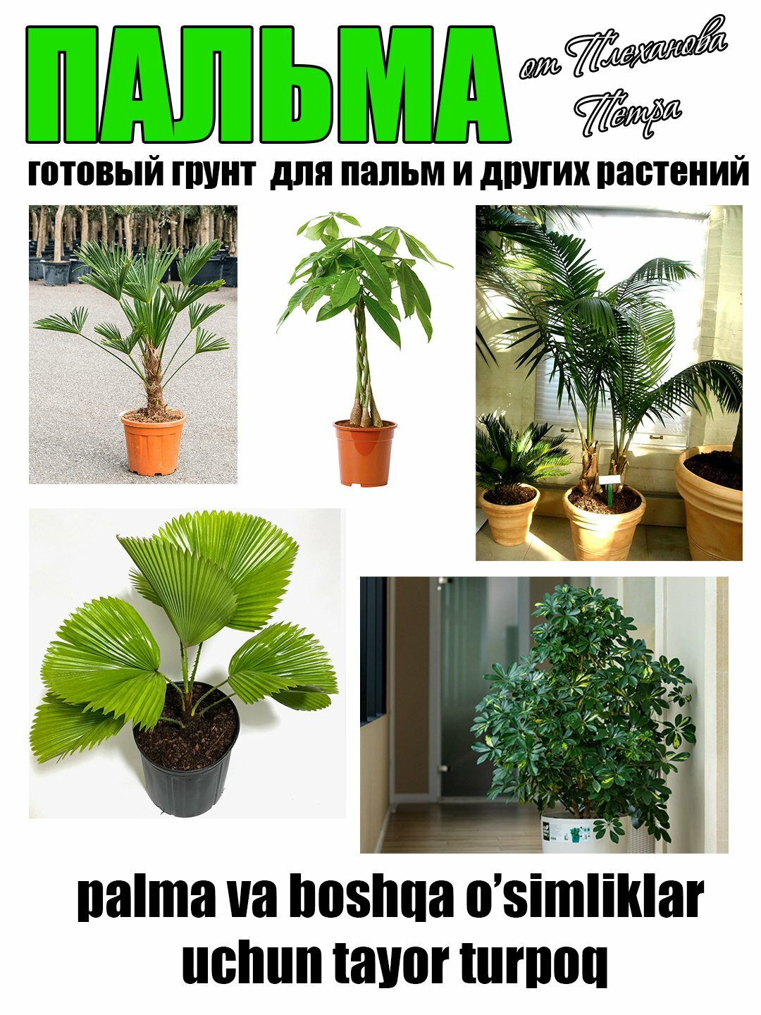 Грунт для пальмы готовый от Петра Плеханова — фото 1