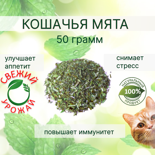 Кошачья мята лакомство для кошек 50 грамм. Котовник сушенный. Для приучения к месту, коррекции поведения, успокоительное.