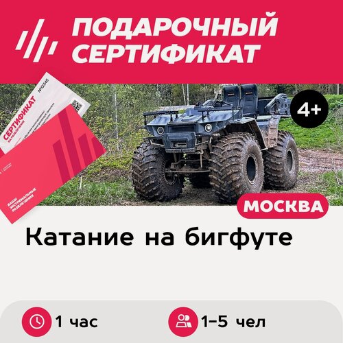Изображение товара Подарочный сертификат Тур Знакомство, бигфут Сокол Трофи UTR / Enwix UTR, 1-5 чел. (1 час)