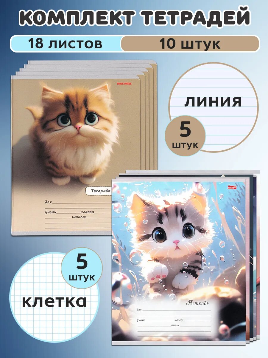 Проф-Пресс Комплект тетрадей 18 л. в клетку 5 шт и линейку 5 шт