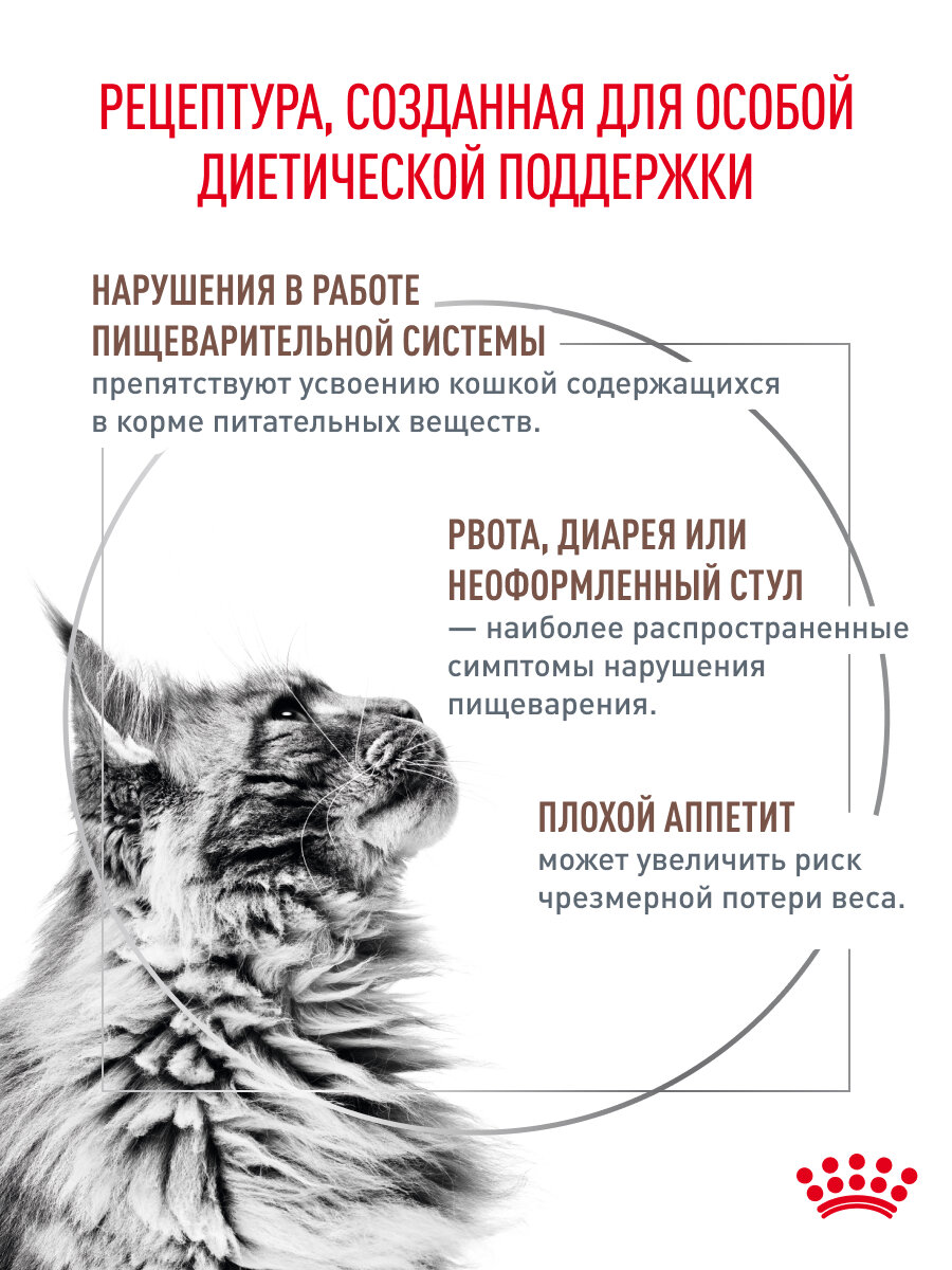 Картинки Сухой корм для кошек Royal Canin Gastrointestinal при расстройствах пищеварения, 0,35 кг