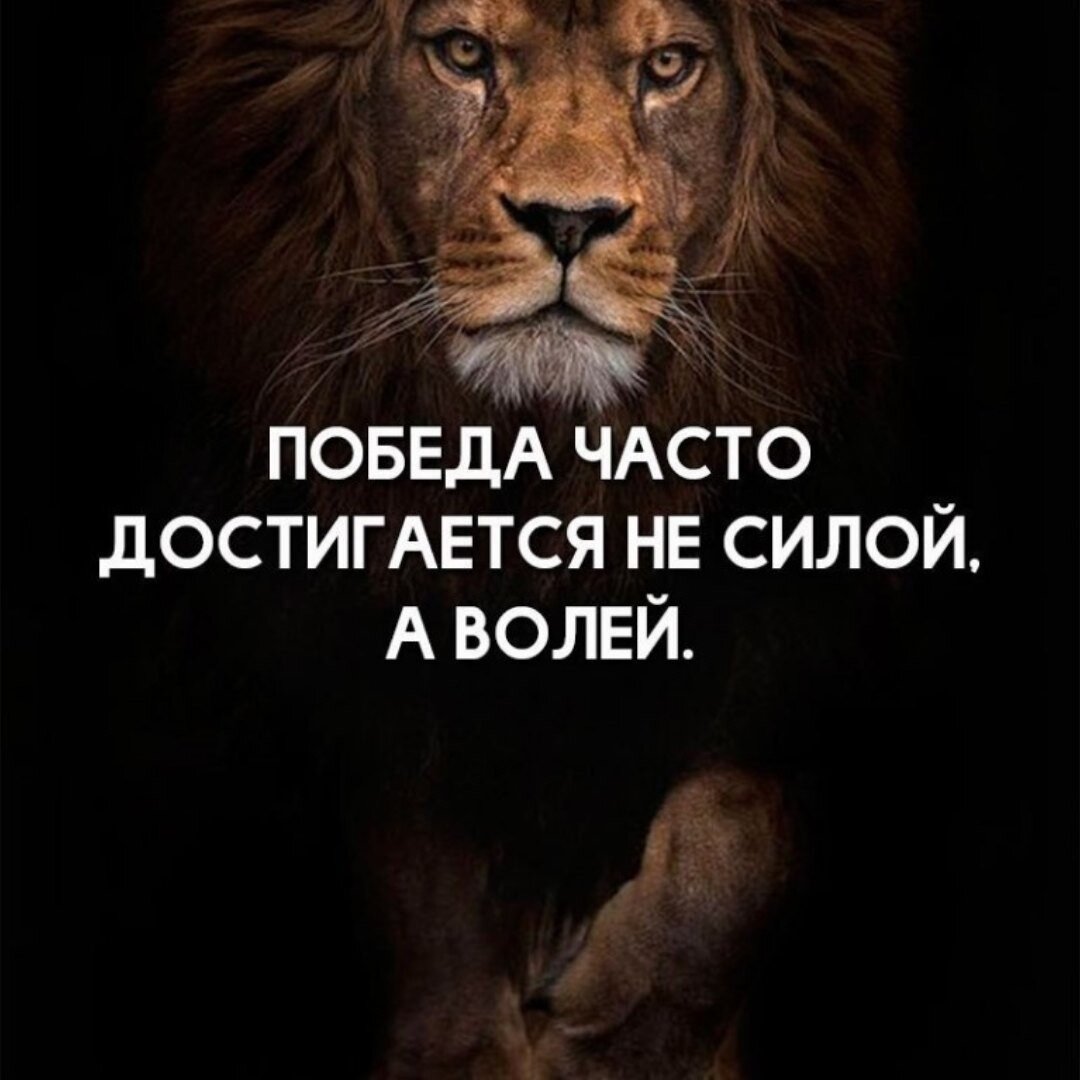Картина - Постер " Мотивация на Победу", формат А4, без рамки.