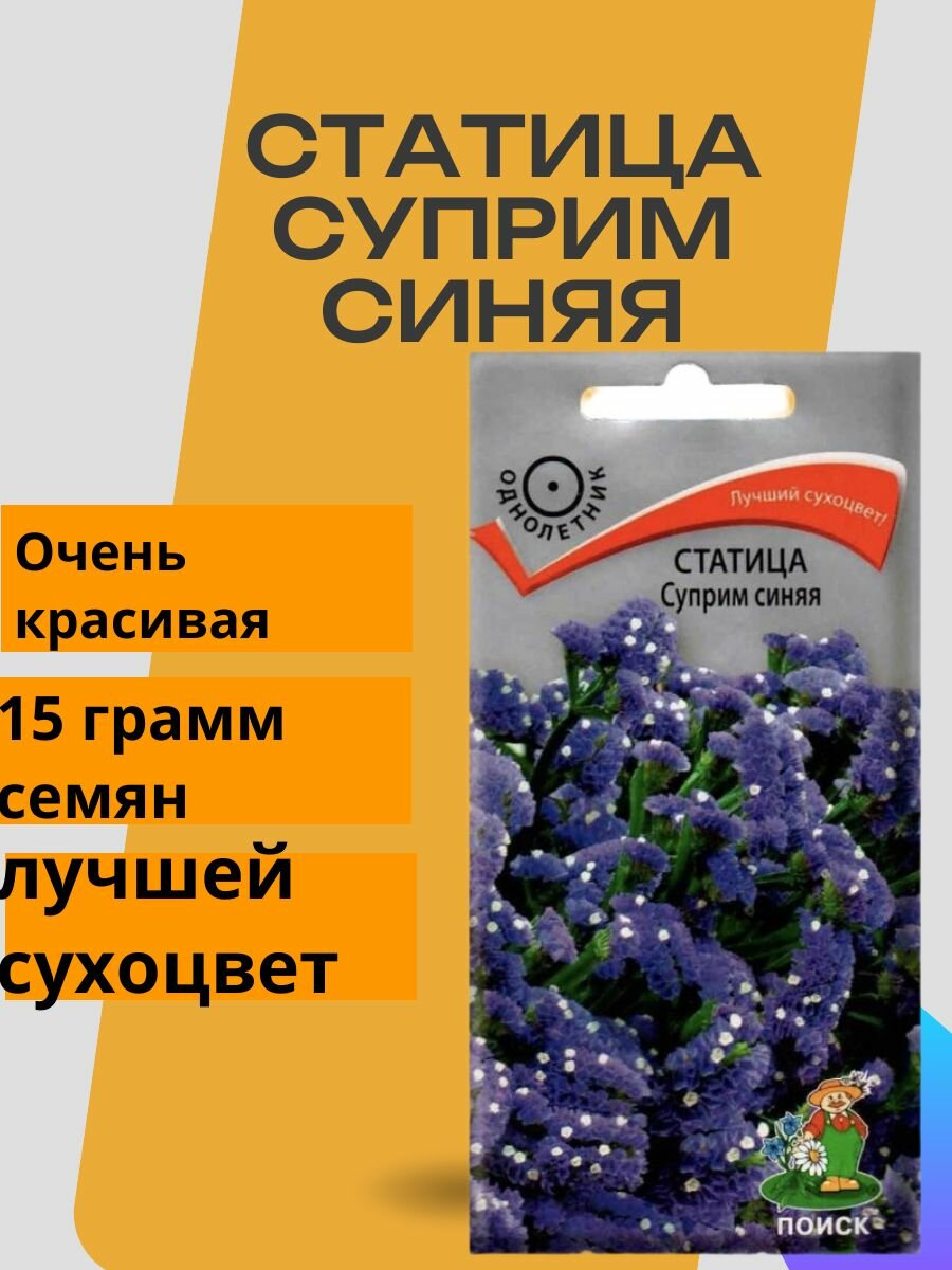 Семена Статица суприм синяя