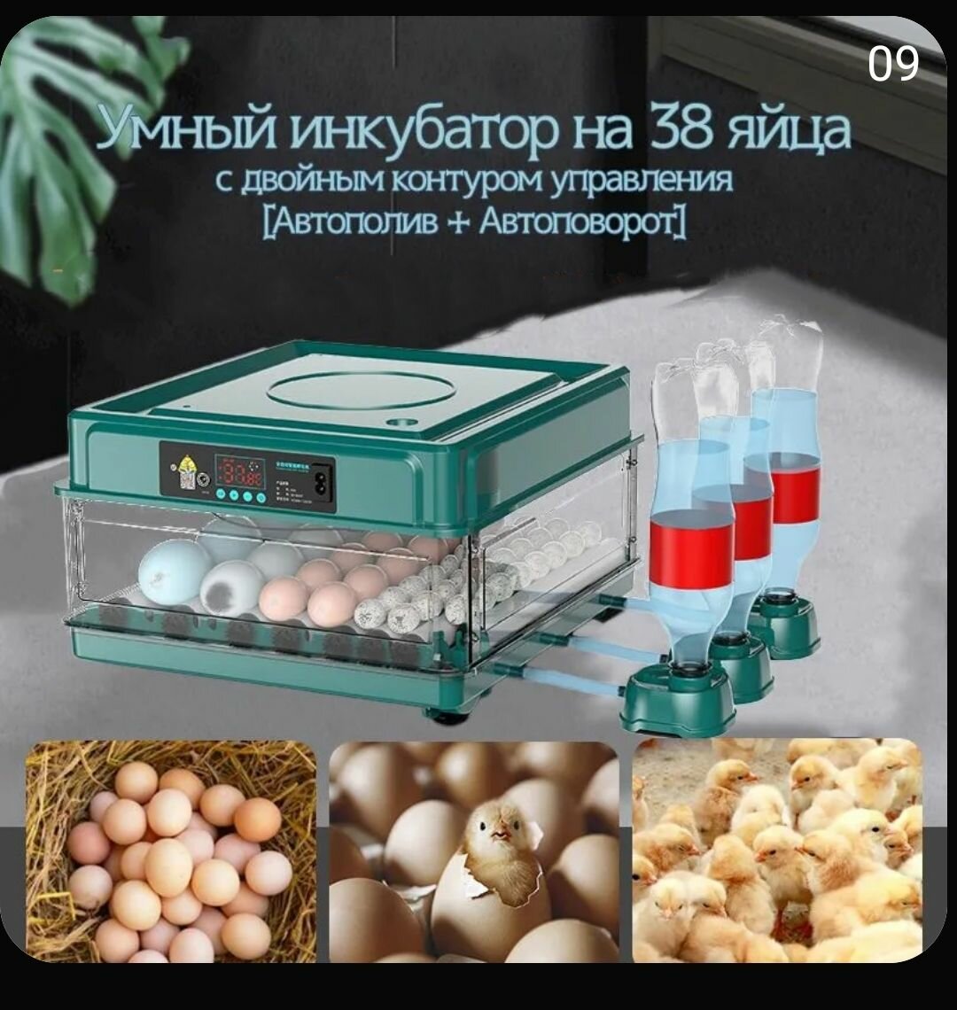 Инкубатор для яиц автоматический на 38 яйца 220B/12B с терморегулятором гигрометром овоскопом