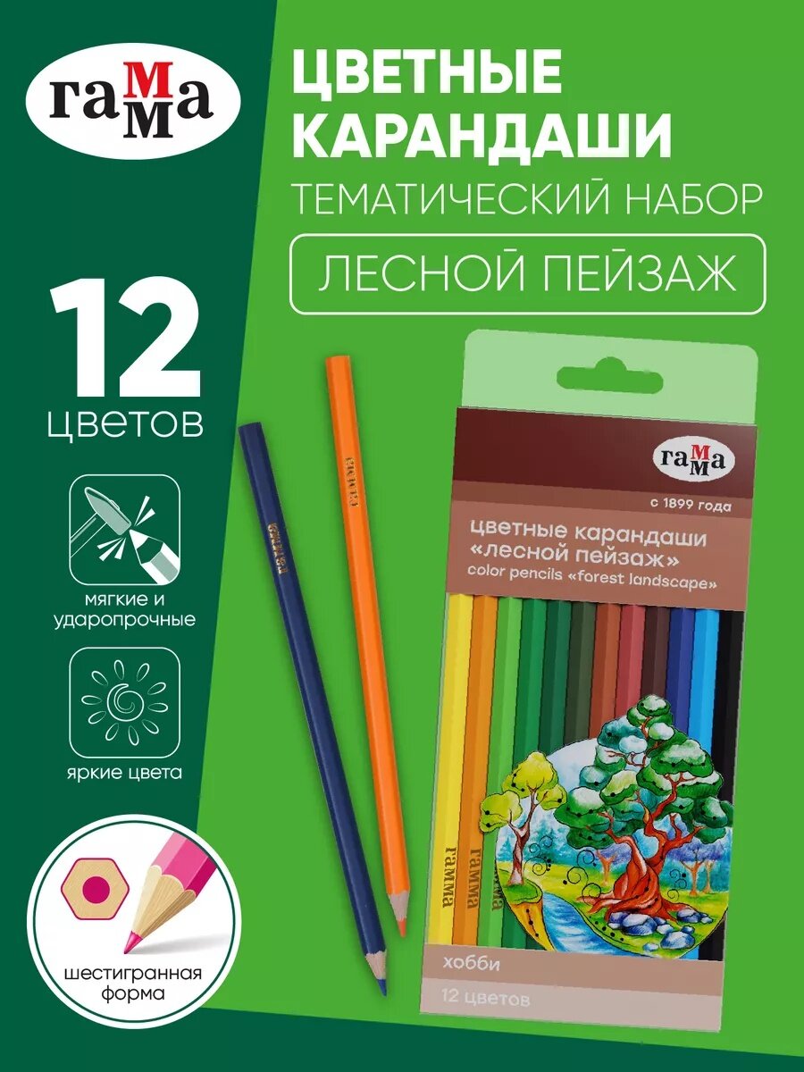 Цветные карандаши "Лесной пейзаж" Гамма, 12 штук, шестигранные, заточенные, разноцветные