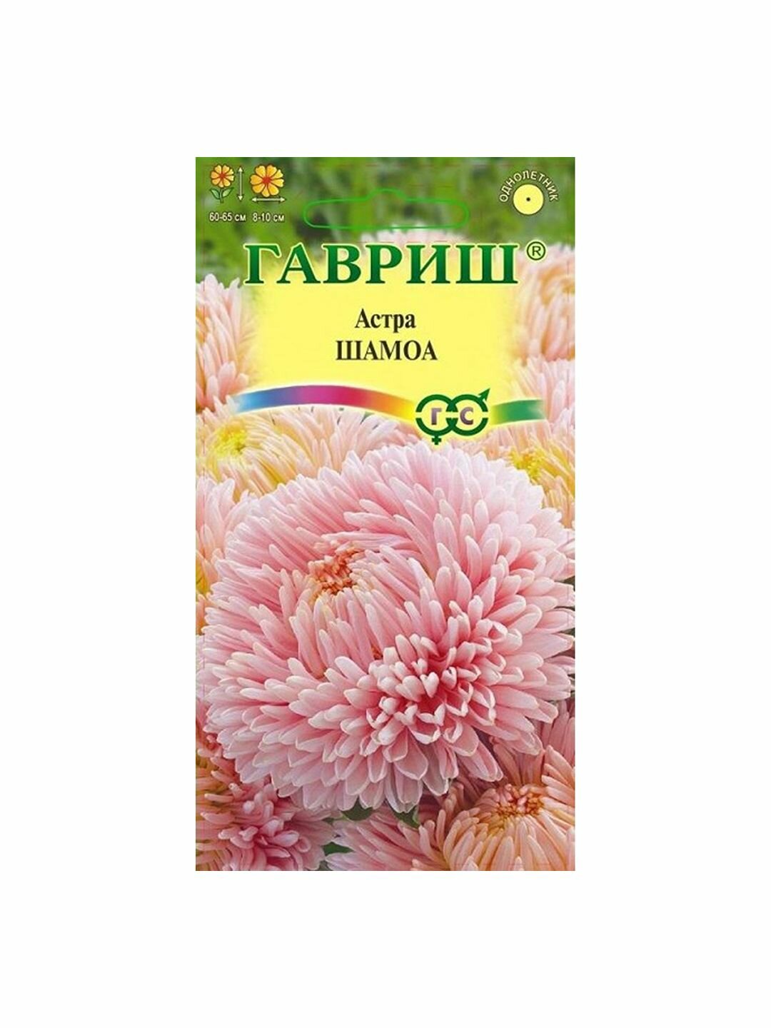Семена Астра Шамоа кремовая пионовидное однолетник Гавриш 1 пачка - 0.3г семян