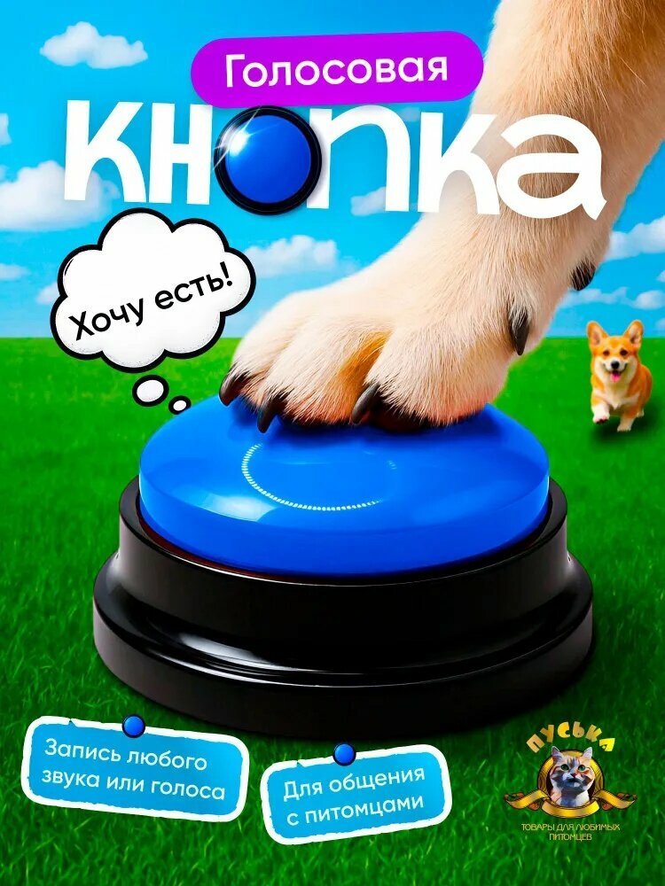 Кнопка для собак жрать хочу, кушать хочу, для дрессировки животных, с записью голоса, звуковая кнопка, кликер для собак , синяя