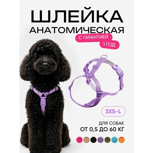 фото Шлейка для собак мелких и средних пород анатомическая размер xs, фиолетовая, pro comfort procomfort