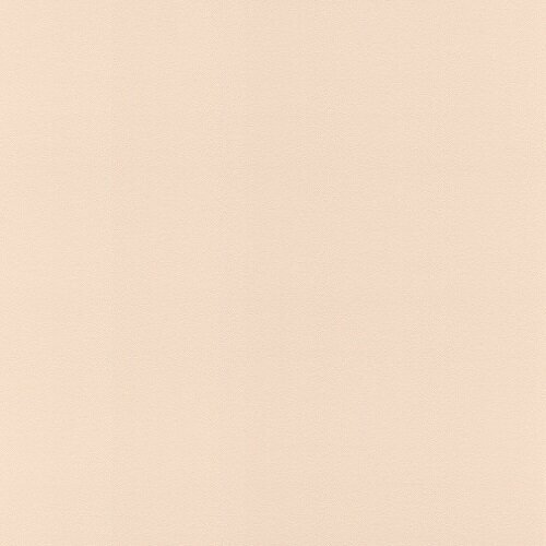 Обои Rasch Denzo 2 806830 0.53 на 10.05 цвет бежевый рисунок однотонный моющиеся
