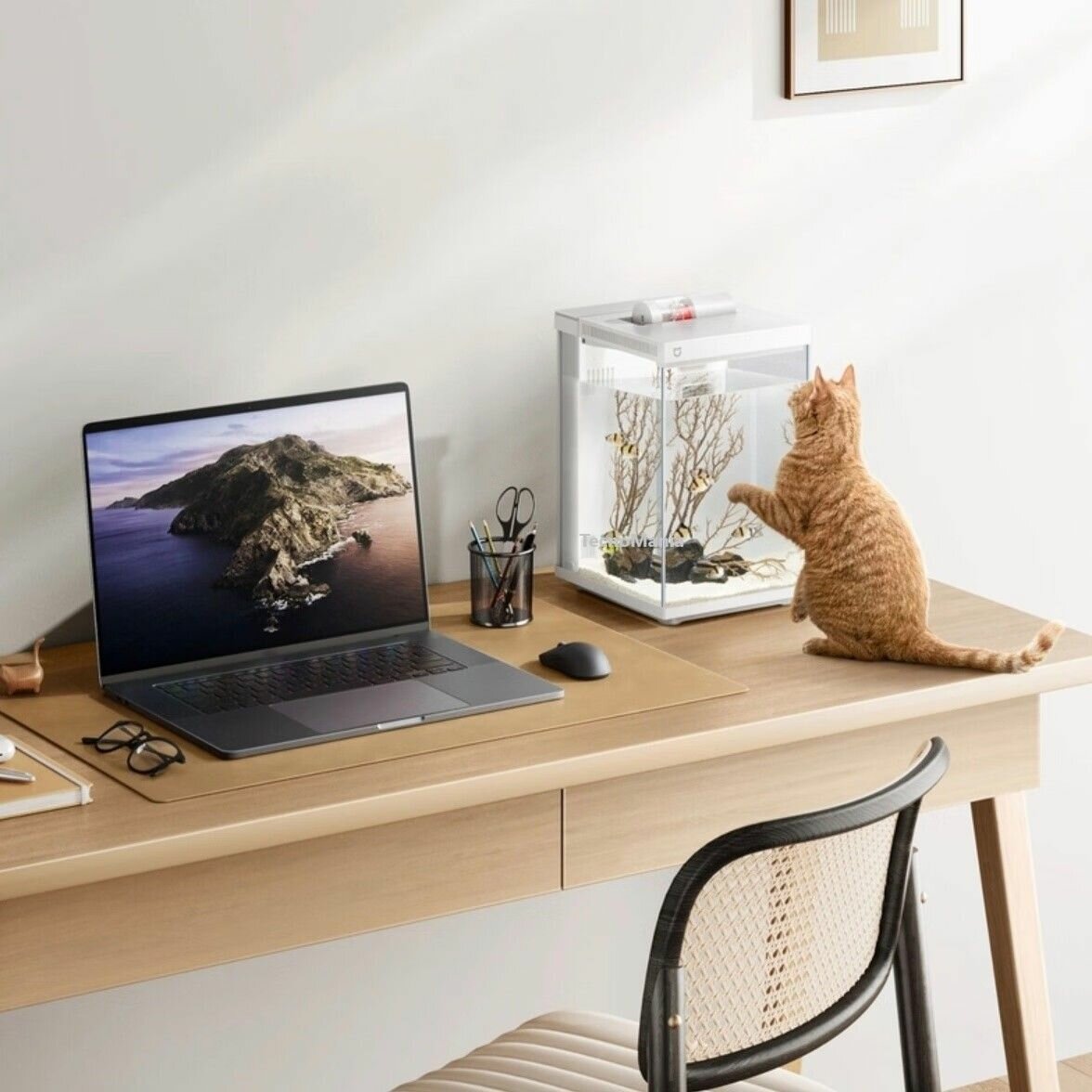 Картинки Умный аквариум Smart Desktop Fish Tank 10L MYG200 Белый