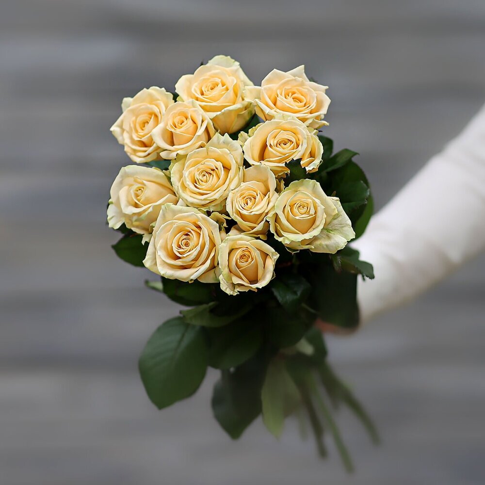 Букет живых цветов из 13 кремовых роз (Россия) с лентой 50 см