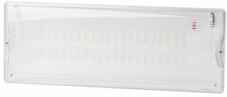 Светильник светодиодный DPA-301-0-65 40LED 3ч IP65 аварийный непостоянный Эра Б0044405