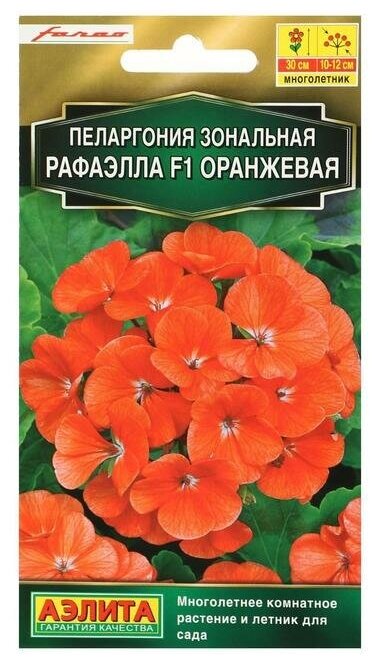 Семена цветов Пеларгония Рафаэлла оранжевая F1 5 шт