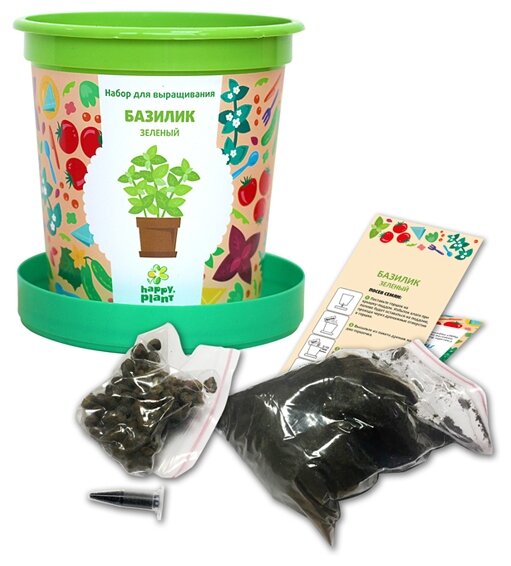 Набор для выращивания Happy Plant Горшок подарочный Базилик зеленый, 1 эксперимент, зеленый