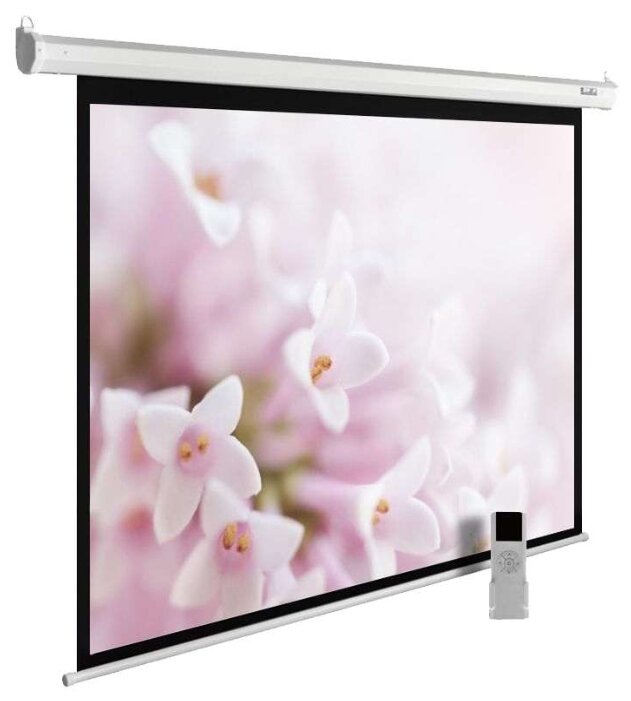 Рулонный матовый белый экран cactus MotoExpert CS-PSME-240x240-WT