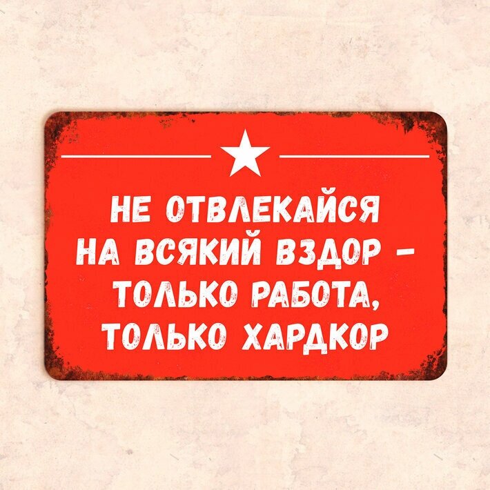 Табличка "Не отвлекайся на всякий вздор - только работа, только хардкор", 30х20 см, УФ-печать, ПВХ - фотография № 1