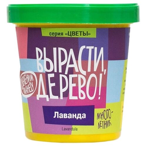 Набор для выращивания растений Лаванда Вырасти, Дерево!