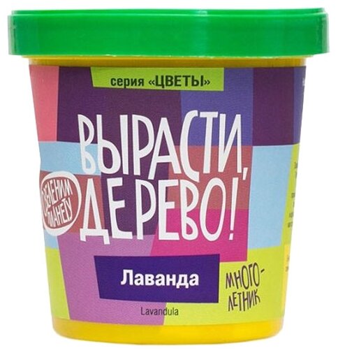 Набор для выращивания растений, Вырасти дерево! Лаванда - фото №7