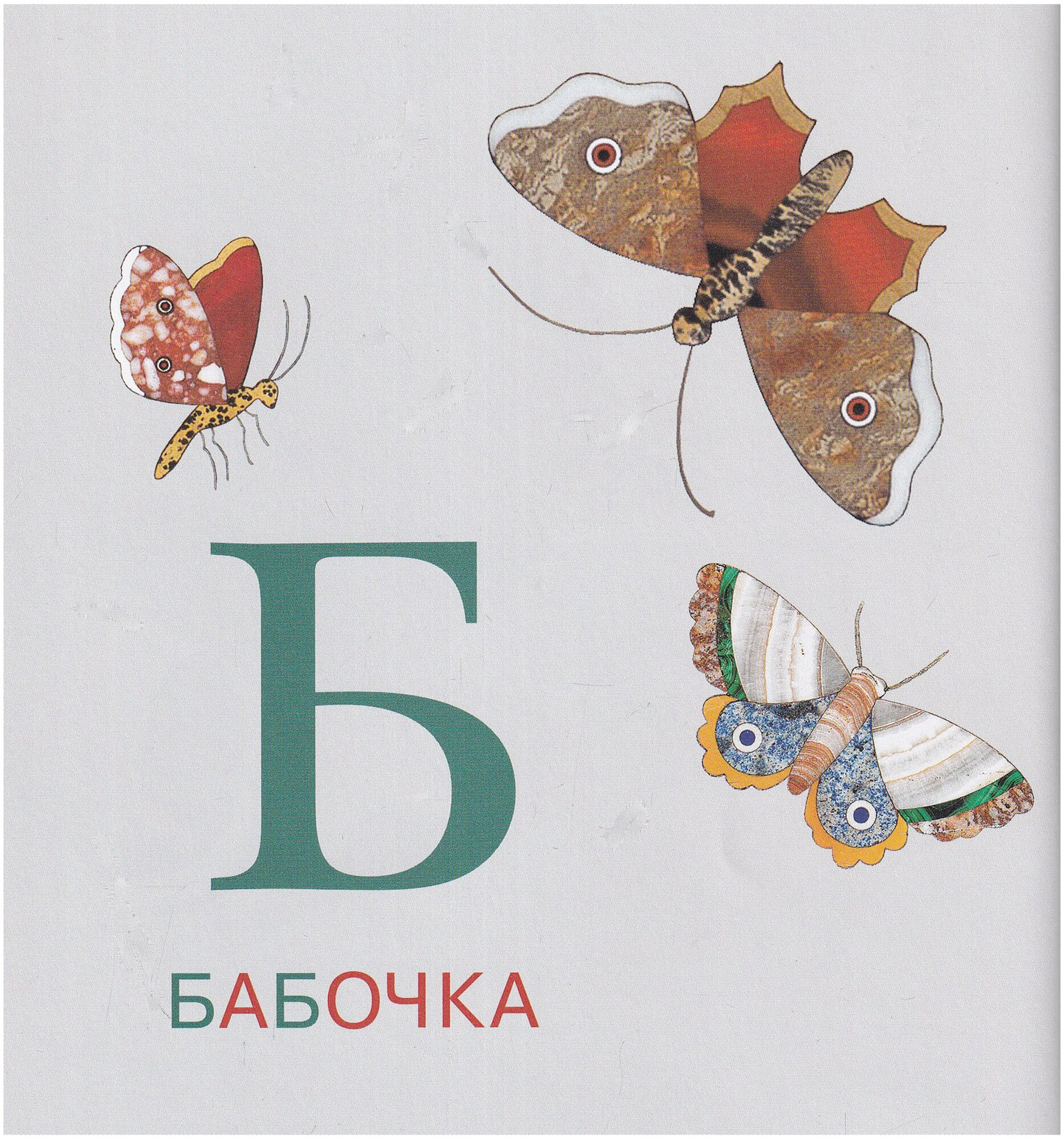 Азбука. Животный мир из коллекции Государственного Эрмитажа - фото №2